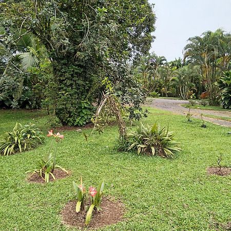 Posada Rural Rio Celeste Katira Exterior foto