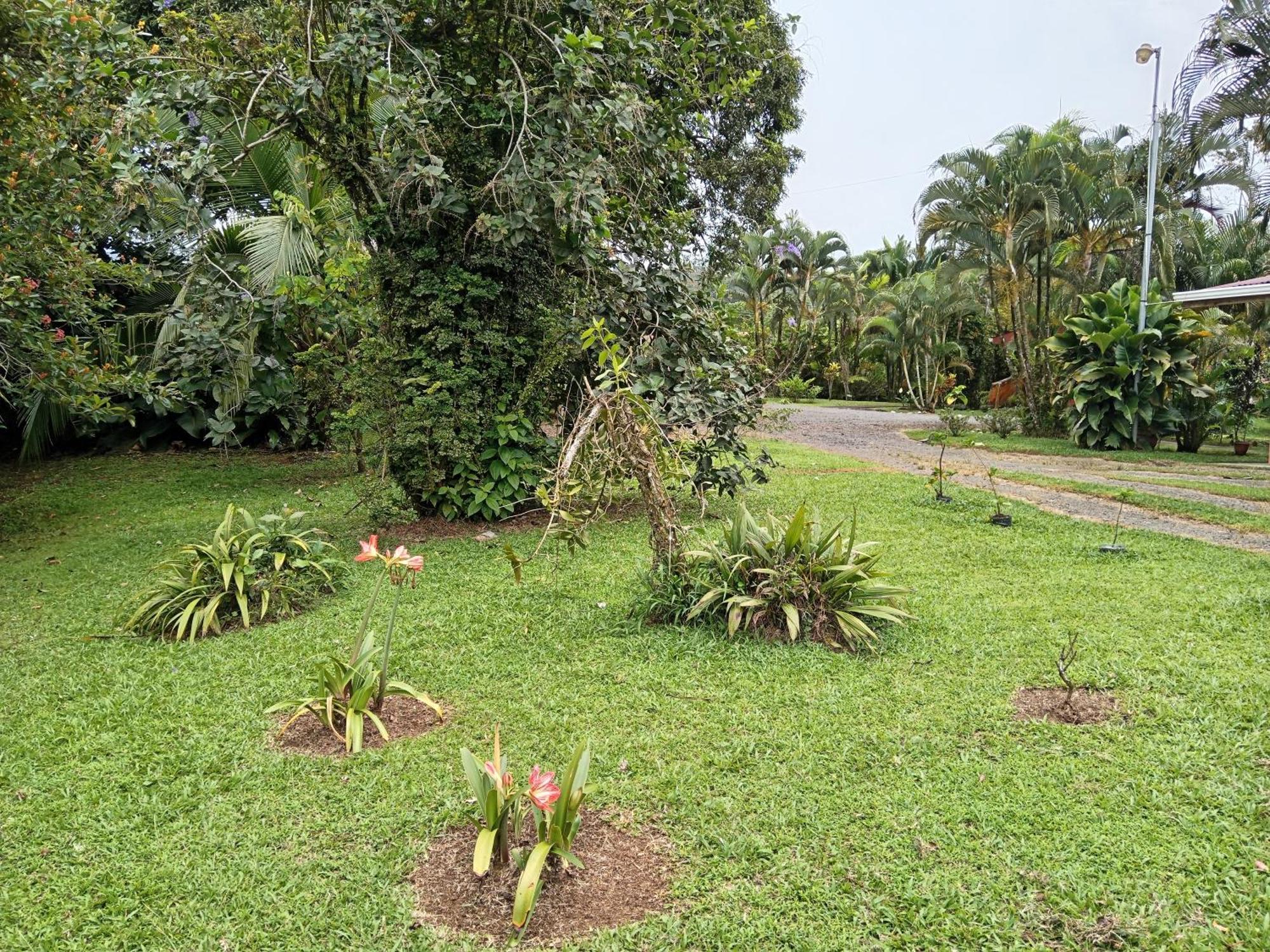 Posada Rural Rio Celeste Katira Exterior foto