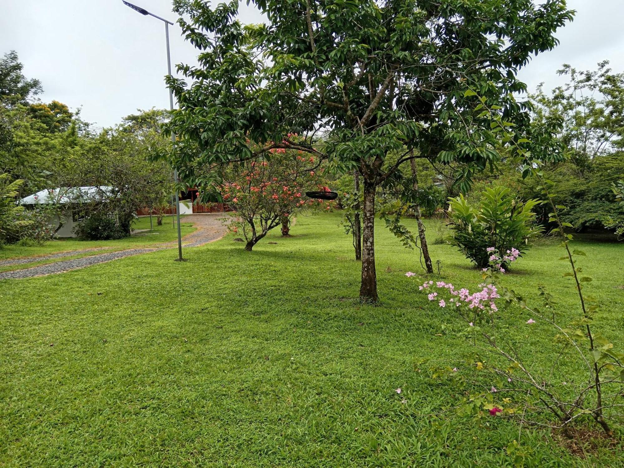 Posada Rural Rio Celeste Katira Exterior foto