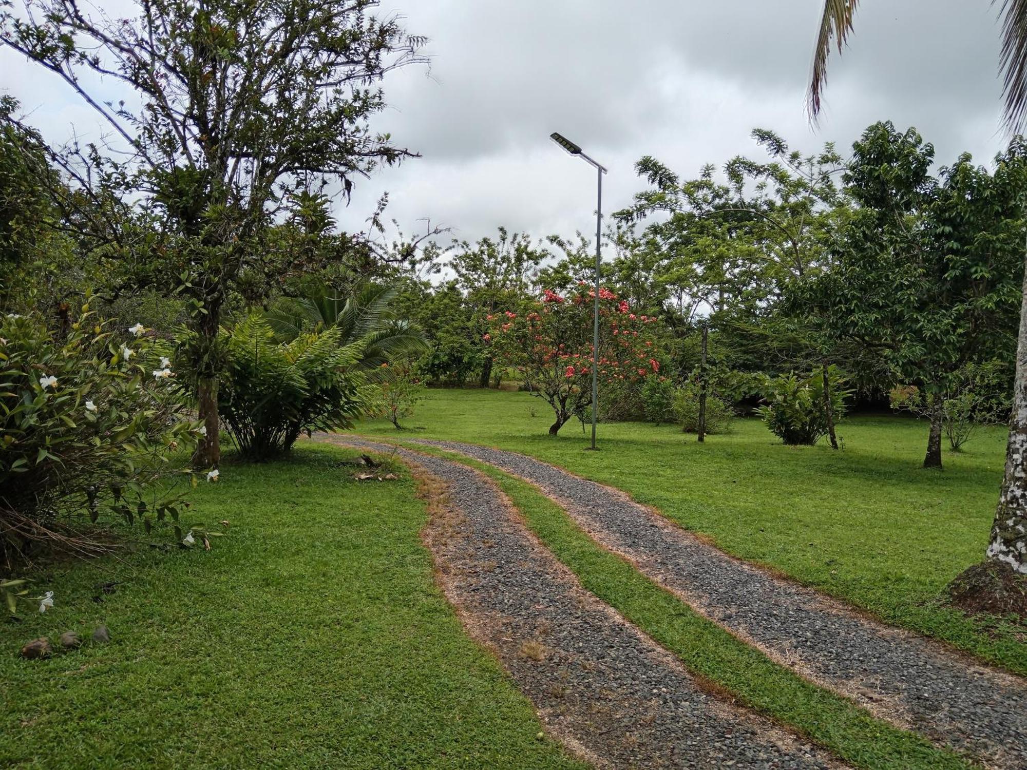 Posada Rural Rio Celeste Katira Exterior foto
