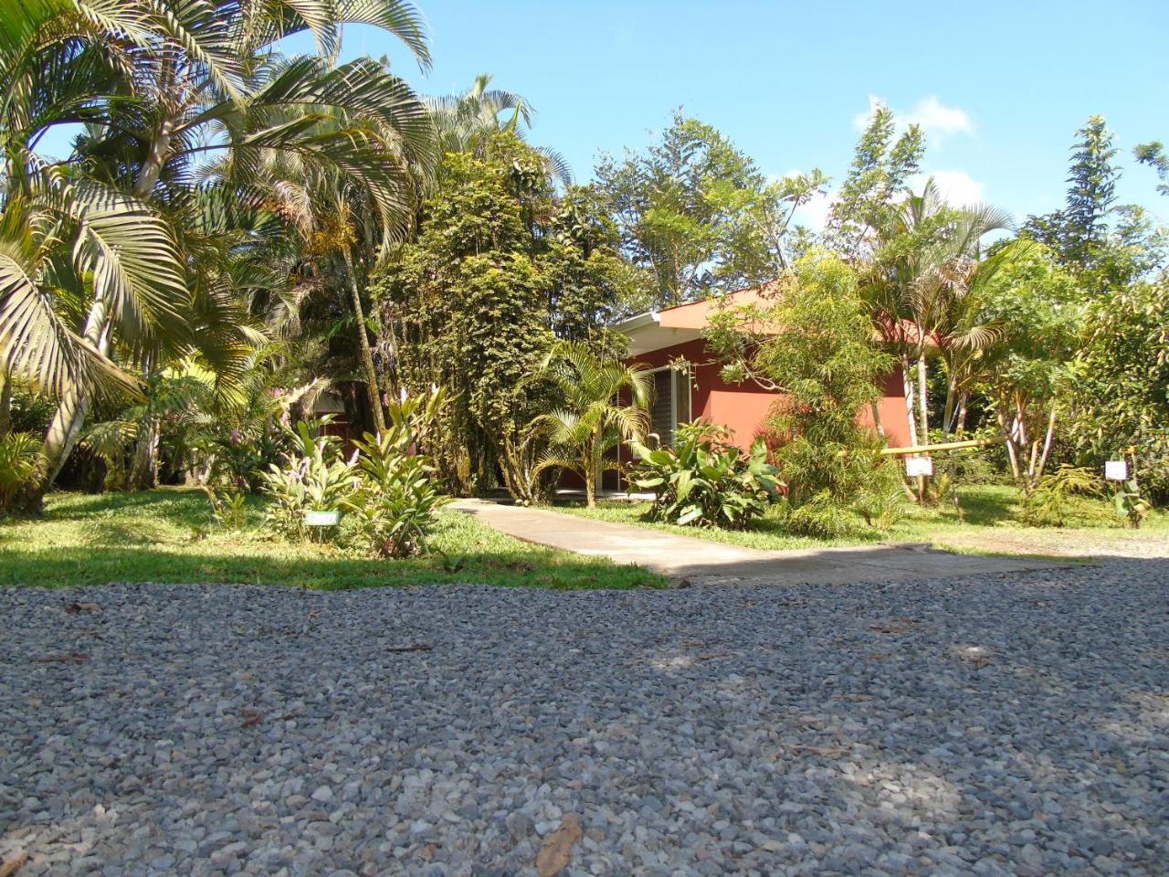 Posada Rural Rio Celeste Katira Exterior foto